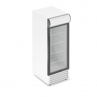 Холодильный шкаф RV 300GL-pro