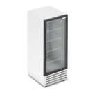 Холодильный шкаф RV 300G-pro